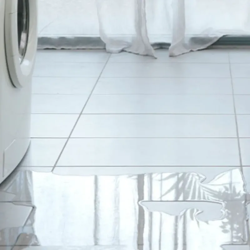 Appliance Leak Cleanup in Mulberry, OH