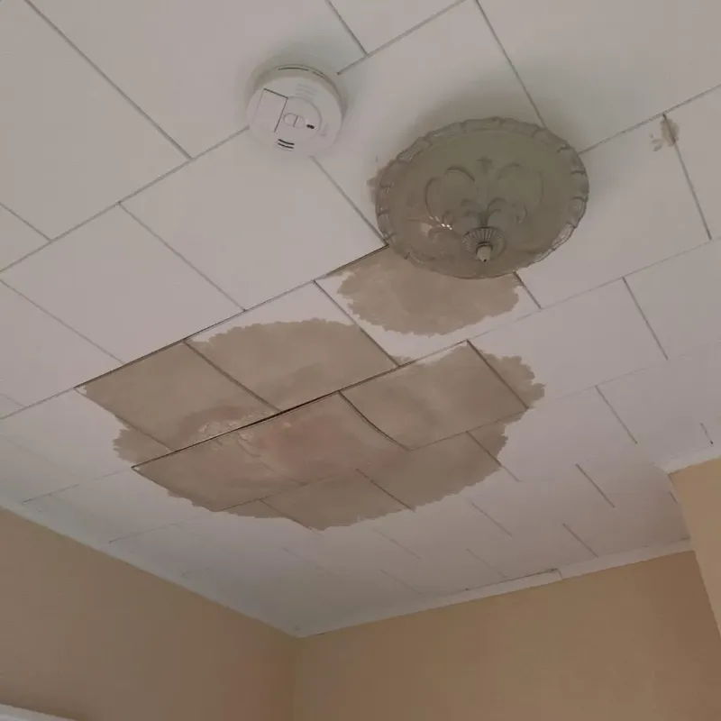 Ceiling Water Damage Repair in Mulberry, OH