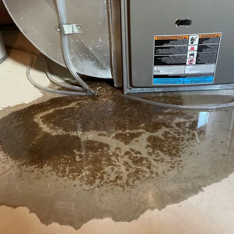 Pipe Burst and Leak Restoration in Mulberry, OH